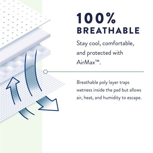 Prevail Overnight Unisex Adult Absorbent Underwear For Cheap - Image 4